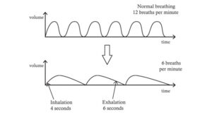 Grafik zur Low Slow Deep Buteyko-Atmung: 4 Sekunden einatmen, 6 Sekunden ausatmen, 6 Atemzüge pro Minute für Herz-Kohärenz und Stressabbau